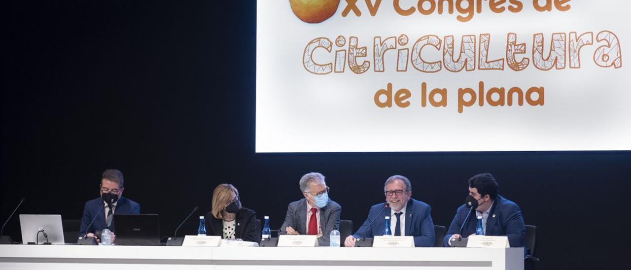 El presidente de Diputación y el secretario autonómico de Agricultura, junto al alcalde de Nules y la presidenta de Caixa Rural.