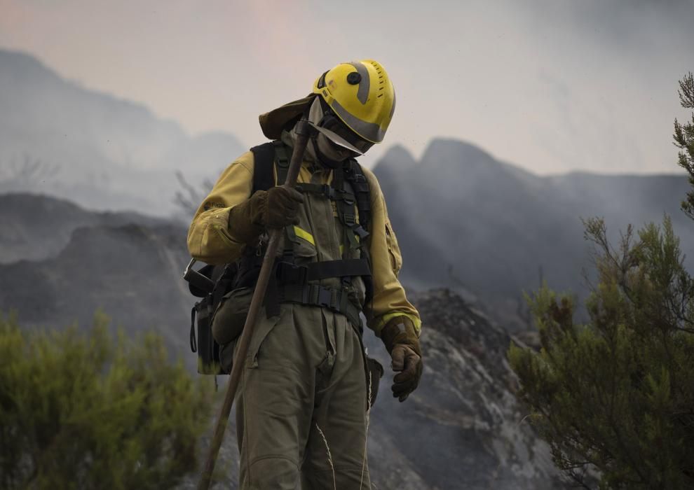 Incendio en los montes de León