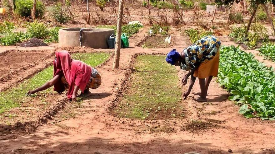 Dues dones treballant la terra al Senegal.