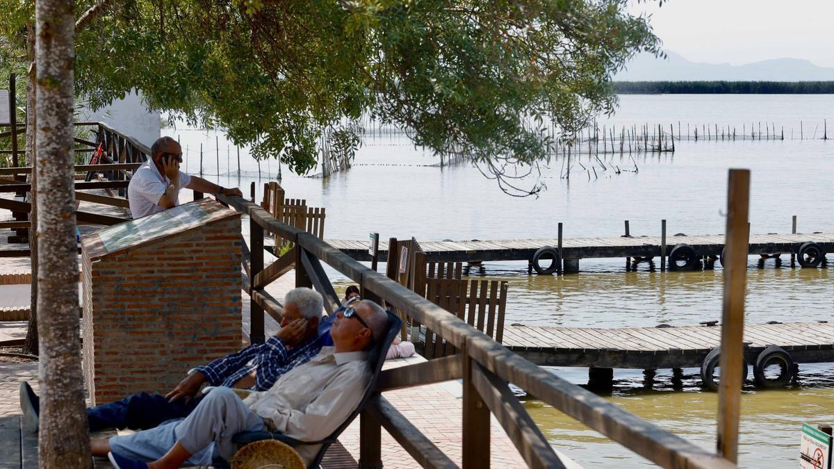 Los jurados de los Premios Rei Jaume I apoyan que la Albufera sea declarada Reserva de la Biosfera