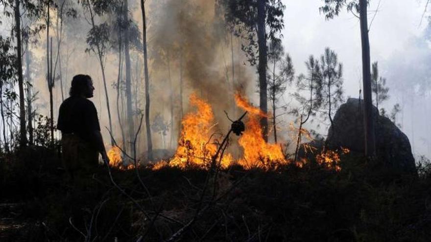 Tareas de extinción en un fuego producido ayer en A Faxilde (Vilagarcía).  // Noé Parga