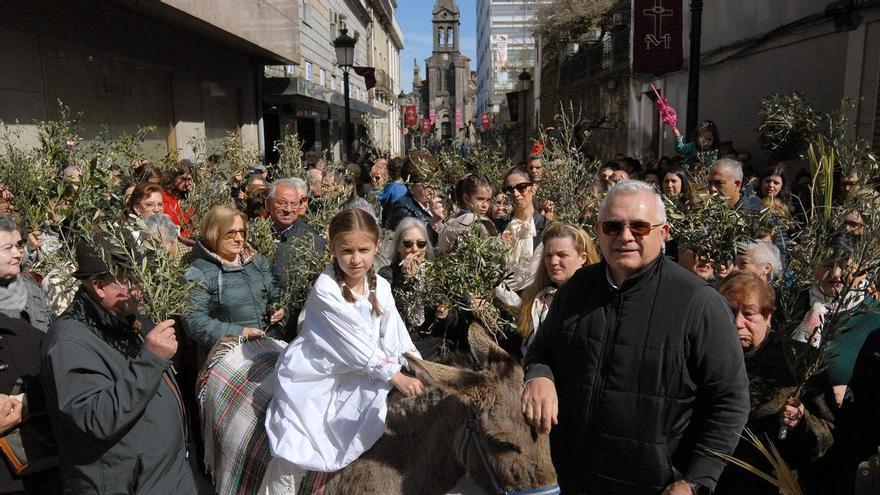 Olivos, laureles y palmas al sol abren  la Semana Santa