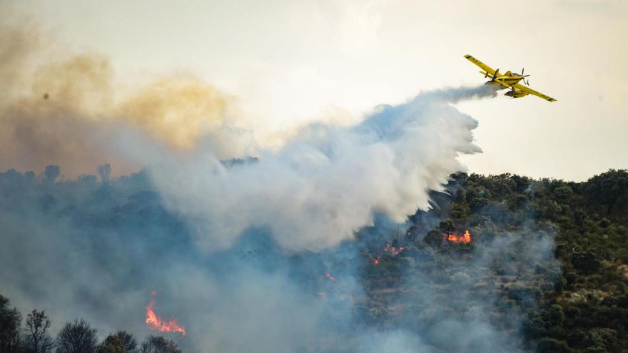 Fotogalería | Imágenes del incendio forestal en Malpartida de Plasencia