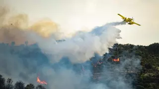 Desactivado el nivel 1 en el incendio forestal de Malpartida de Plasencia