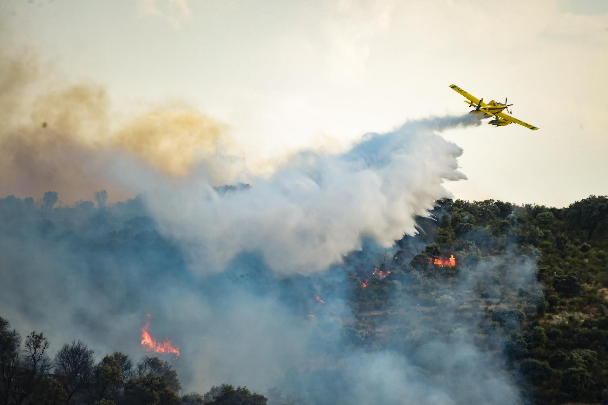 Fotogalería | Imágenes del incendio forestal en Malpartida de Plasencia
