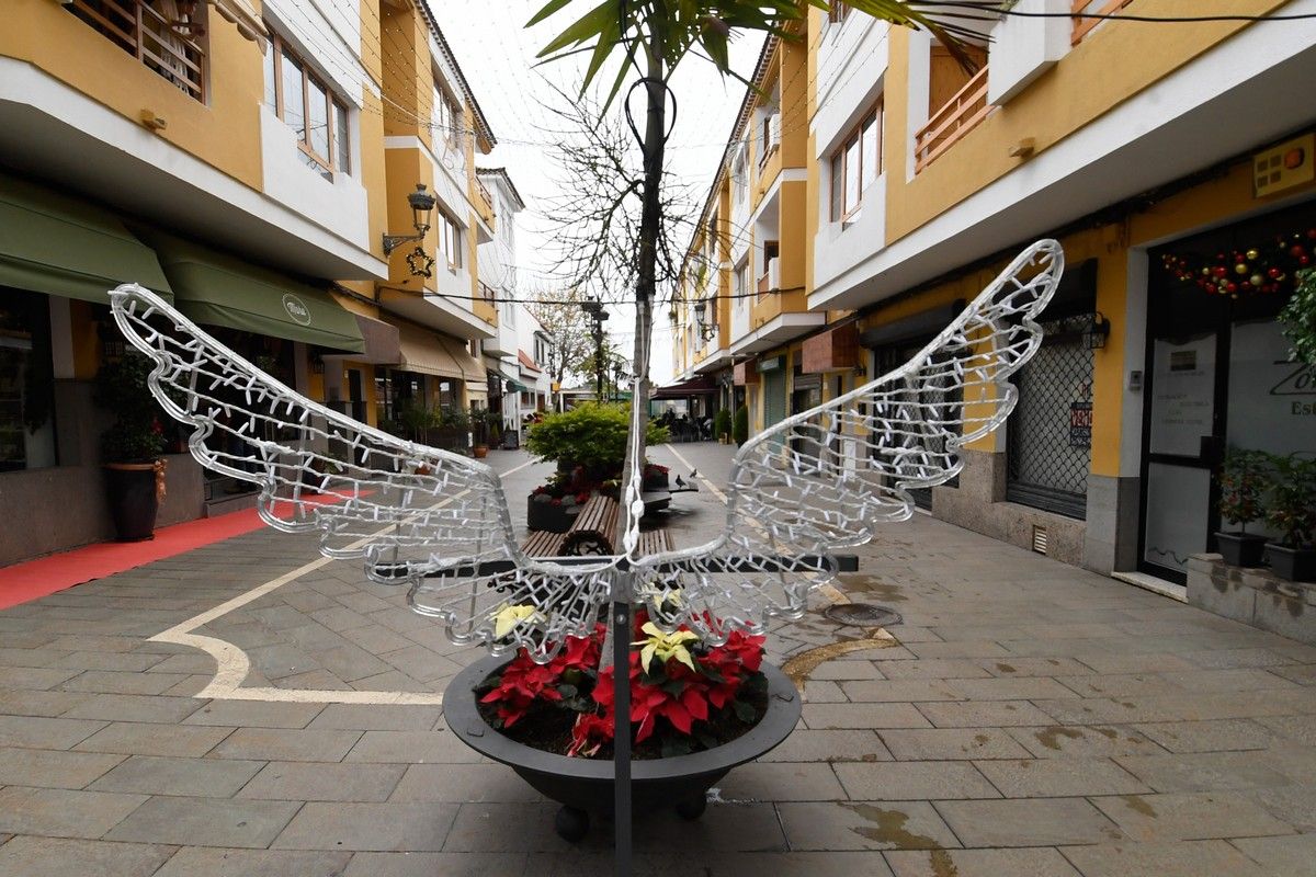 Santa Brígida en Navidad