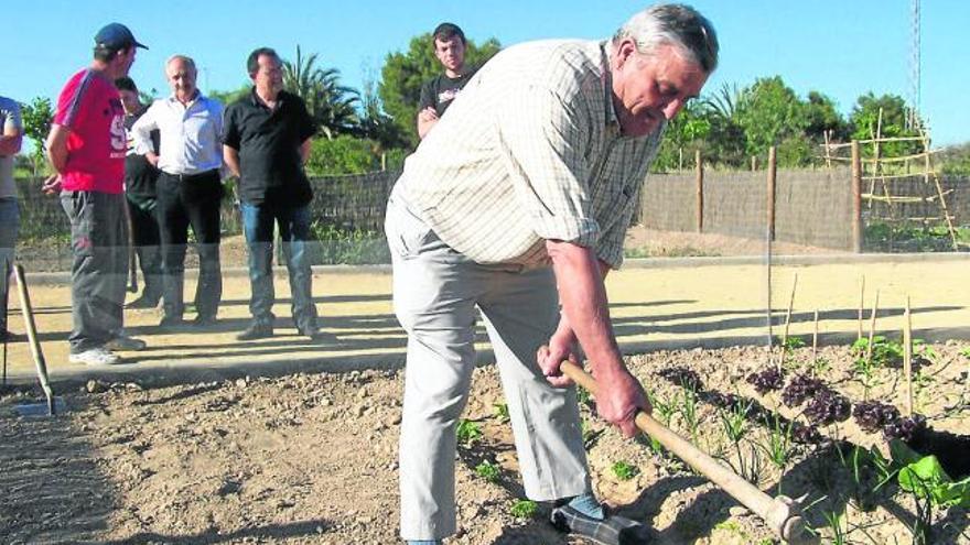 Nuevos huertos que recuperan viejas tradiciones