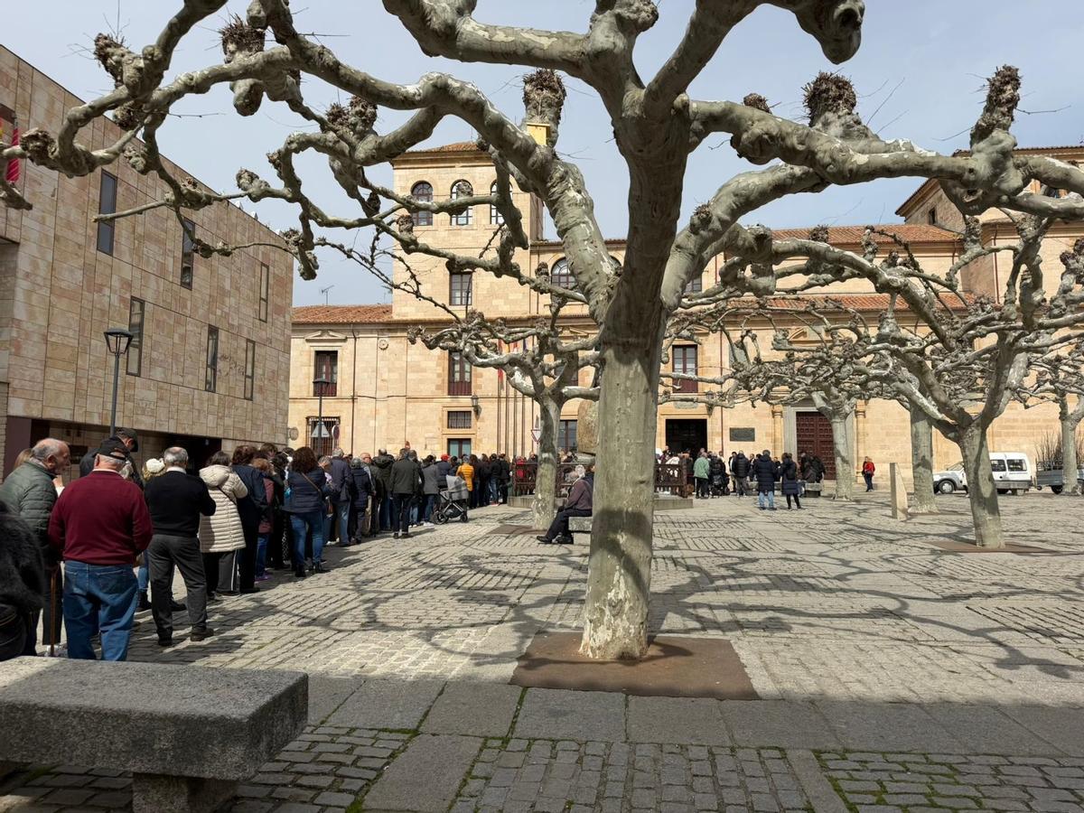 Colas en el Día del Árbol en la plaza de Viriato.