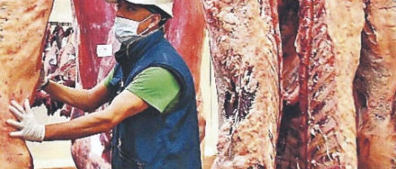 Un trabajador en una línea de piezas de carne en el Matadero Insular.