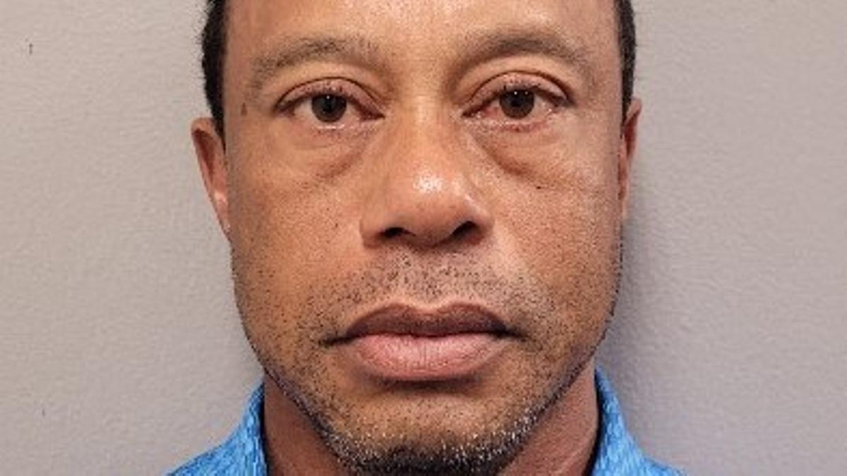 Ficha policial de Tiger Woods tras ser arrestado.