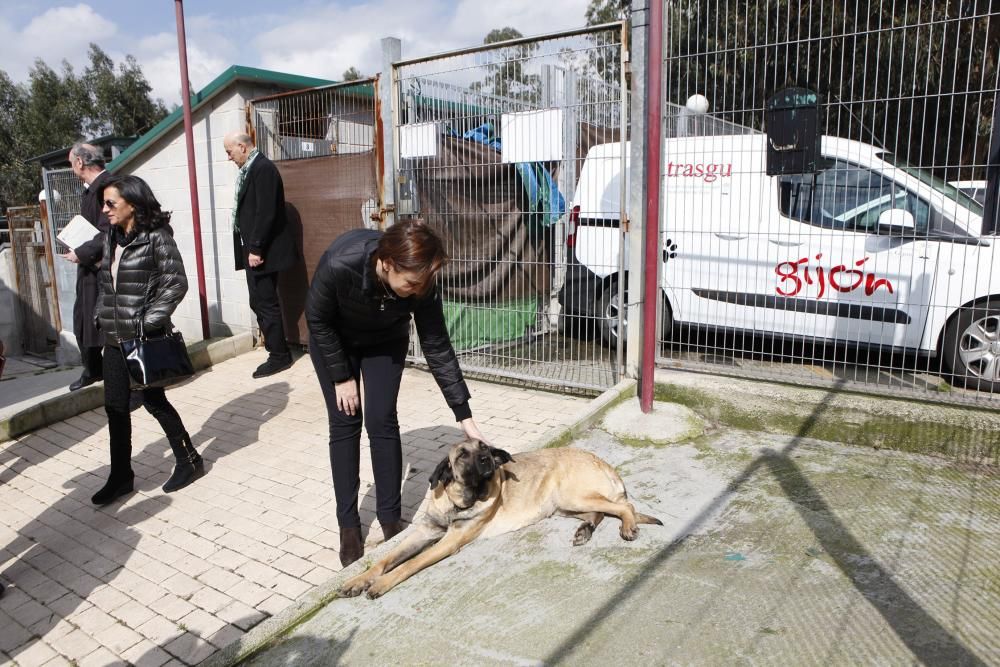 Carmen Moriyón y Maniel Arrieta visitan el Albergue de Animales de Serín