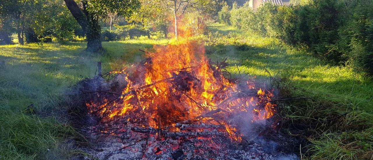 Gartenabfälle verbrennen ist in der nächsten Zeit auf Mallorca nur mit Genehmigung möglich.