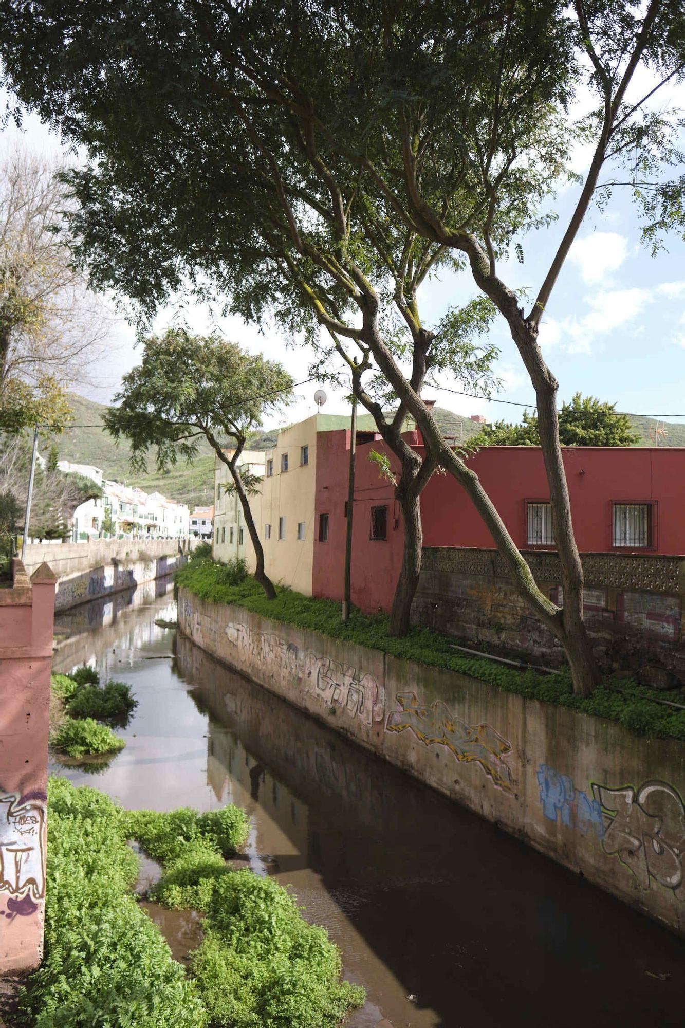 Calle Cañaveral, en La Laguna