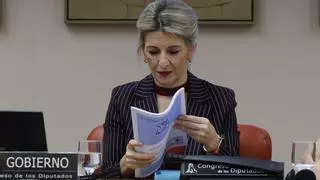 IU Andalucía pide limitar el poder de Yolanda Díaz en Sumar y "mancomunar" la marca