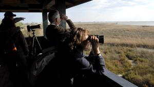 Turismo ornitológico en el Deslta del Ebro.