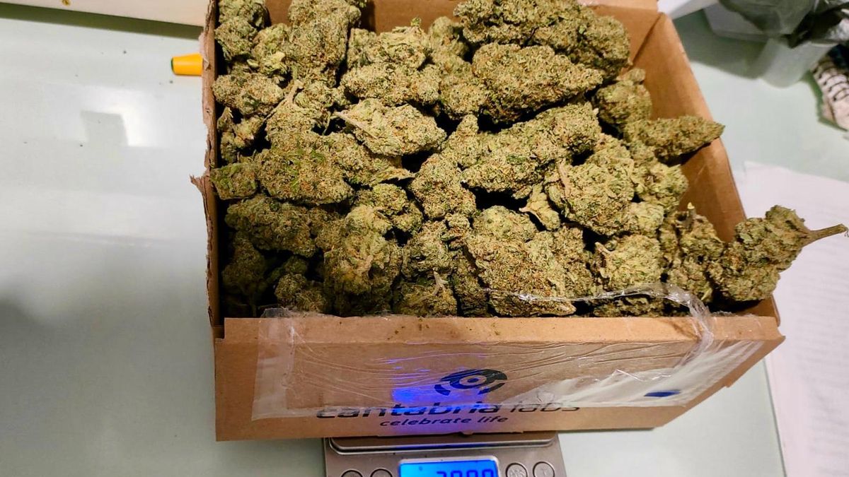 Marihuana que los agentes requisaron a la persona detenida.