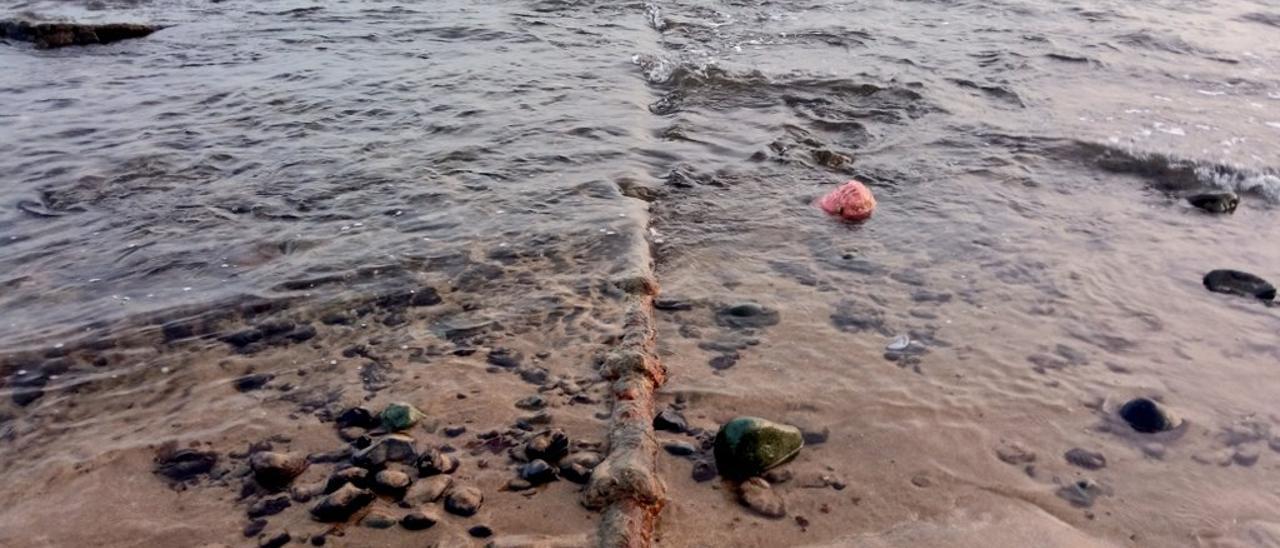 Aflora en Las Canteras el primer cable submarino de fibra óptica del mundo.