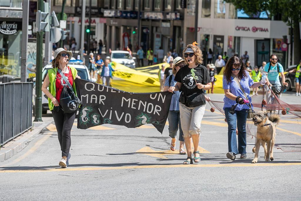 Las marchas de la dignidad este 9 de junio, en imágenes