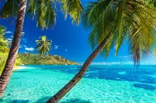 Moorea, la isla con forma de corazón frente a Tahití que combina lagunas turquesas, bahías salvajes y montañas volcánicas