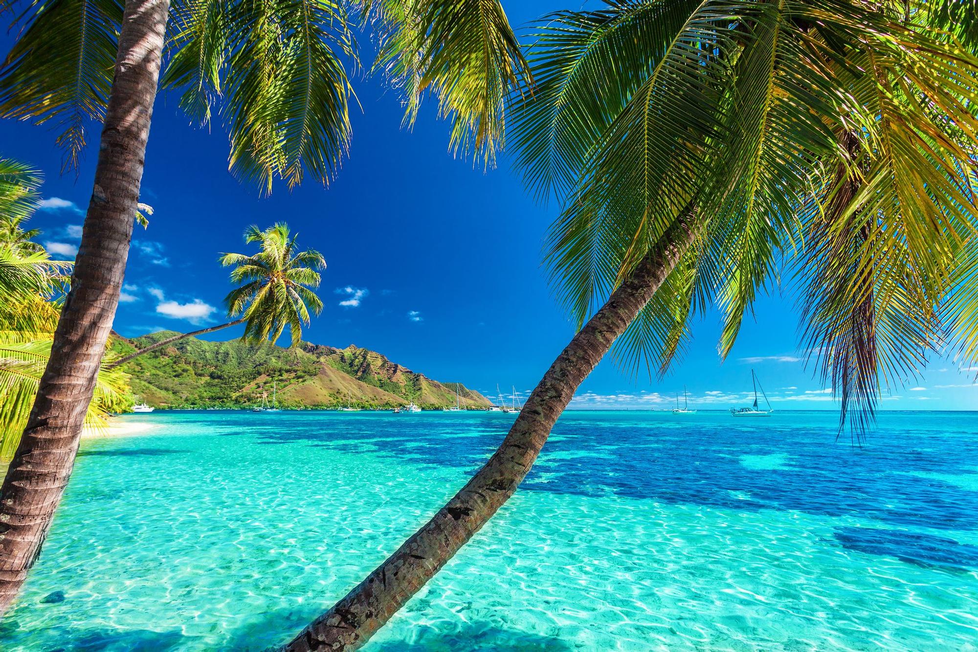 La isla que muchos viajeros prefieren antes que Bora Bora tiene forma de corazón: lagunas cristalinas, montañas cubiertas de selva y playas tranquilas