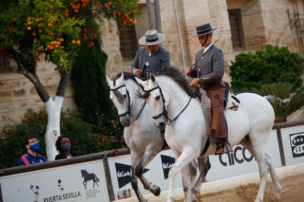 Vuelve a Caballerizas el espectáculo de Córdoba Ecuestre