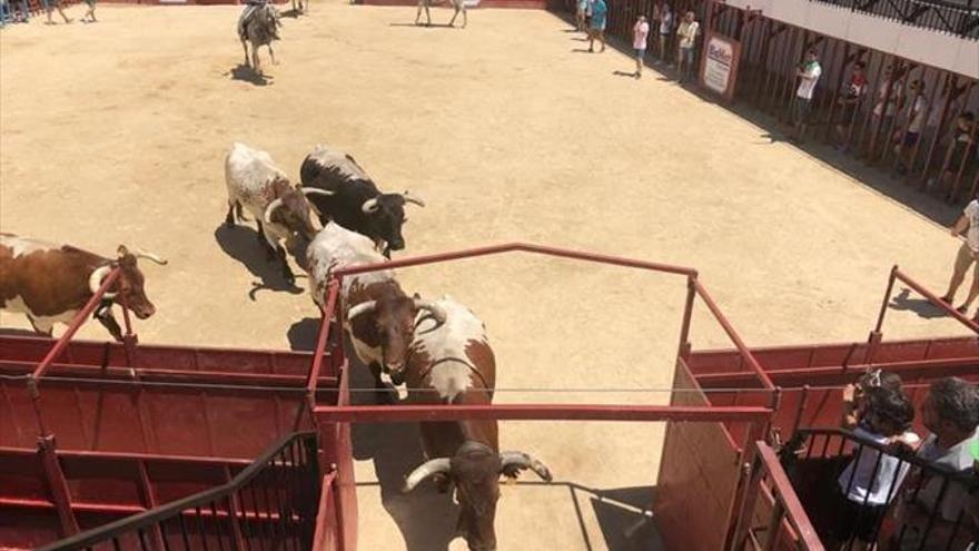 San Buenaventura llena las calles de varios actos lúdicos y taurinos