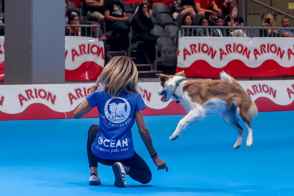 Mad Dog Show: fiebre por los perros en Madrid