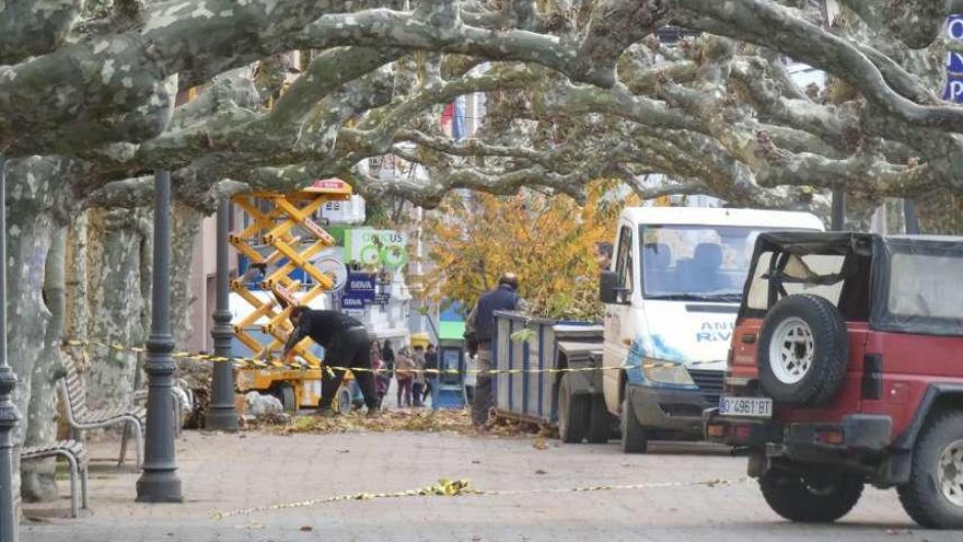 Operarios podando los árboles del parque de Llanes ayer por la mañana.