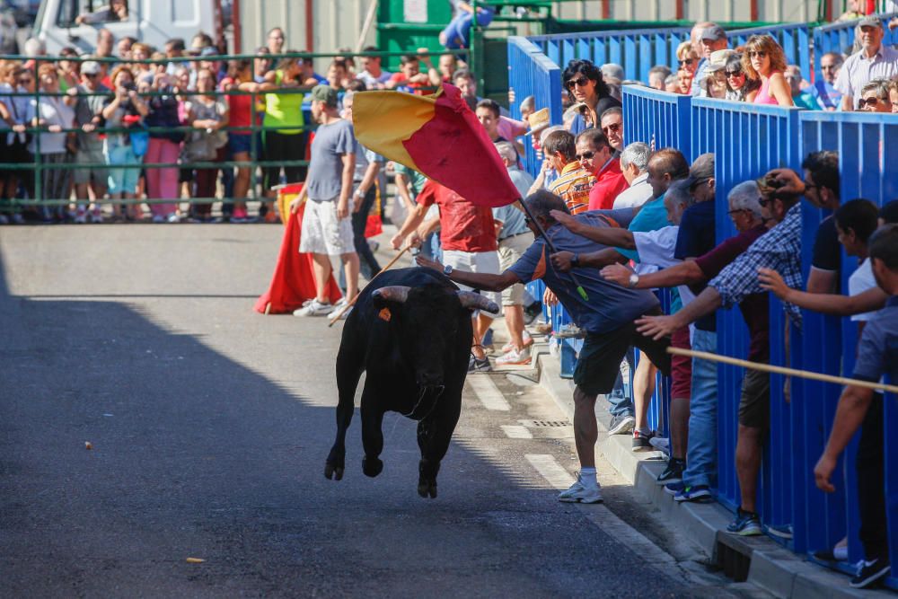 Encierro Urbano Bóveda de Toro