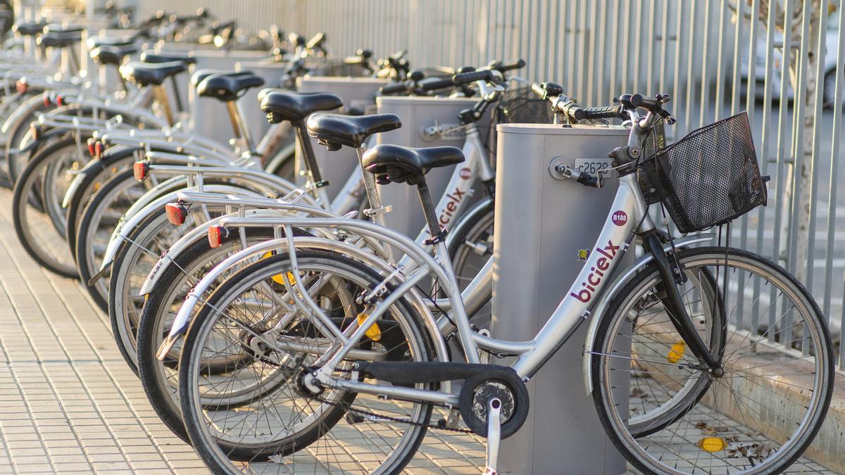 La ciudad de Elche aspira a convertirse en Capital Verde Europea en 2030.