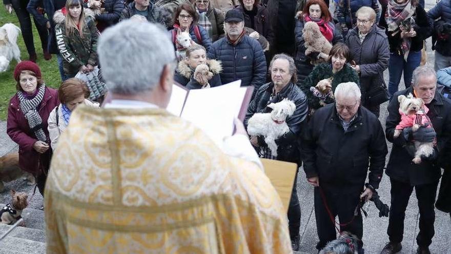 Un sacerdote durante una bendición de mascotas al aire libre.