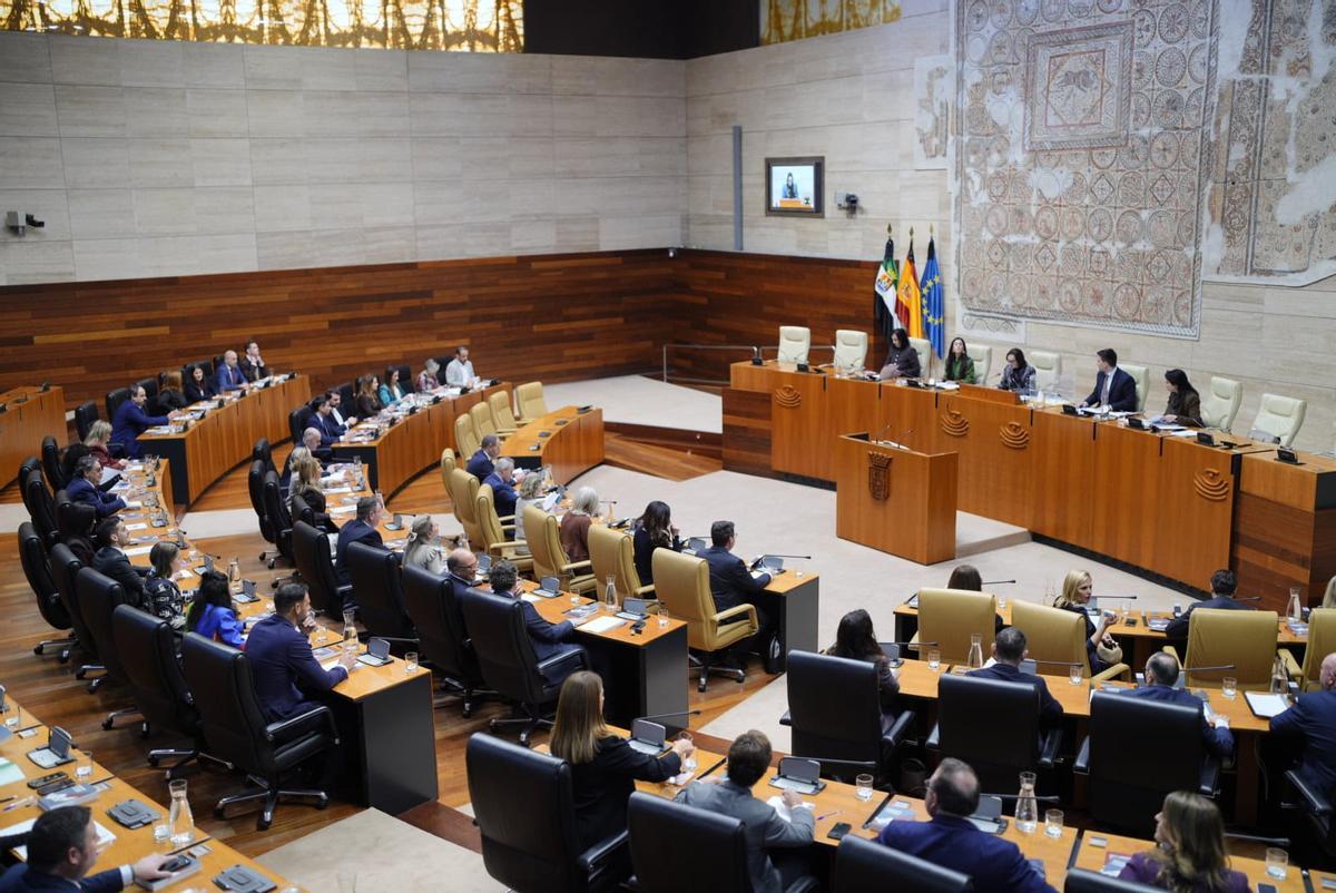 Fotogalería | Imágenes de la XII legislatura en Extremadura