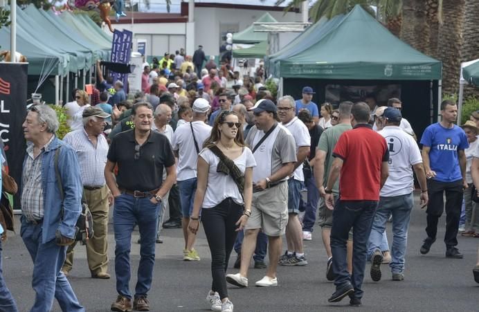 ARUCAS GRAN CANARIA A 27/05/2017. Feria de Ganado en la Granja del Cabildo de Gran Canaria. FOTO: J.PÉREZ CURBELO