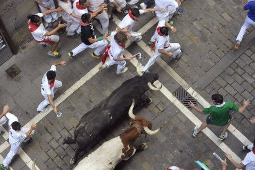 Segundo encierro de San Fermín