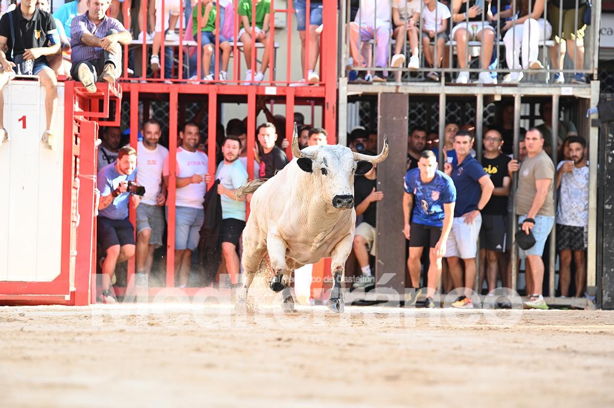 Bous a Betxí 2025