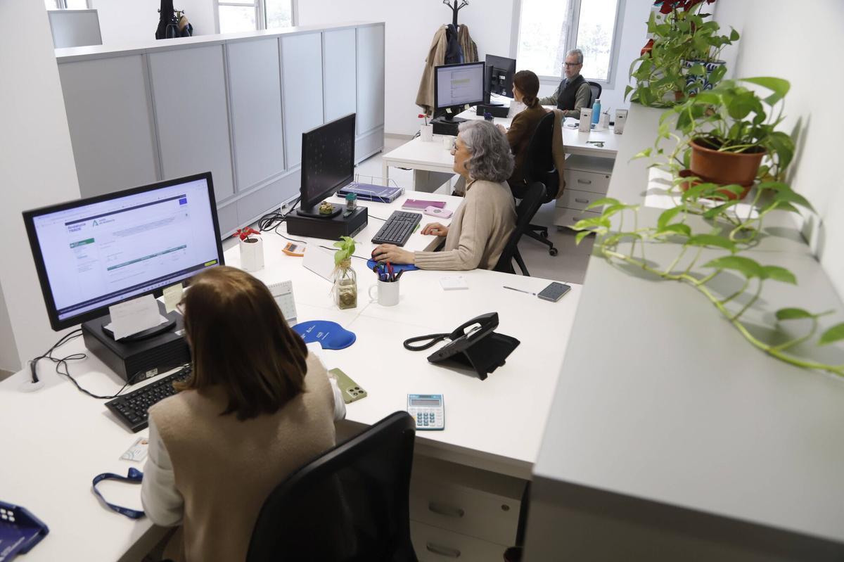 Funcionarios de la Junta de Andalucía en el Edificio Administrativo de la plaza de la Constitución Delegación del Gobierno