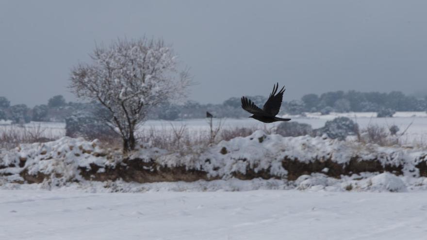 Nieve en el noroeste el invierno pasado