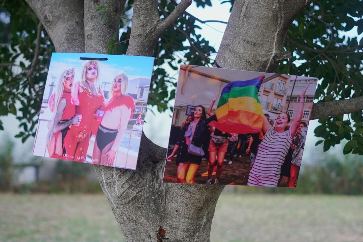 La exposición fotográfica 'queer' de Burriana colgada por los árboles de la zona verde del Arenal Sound.