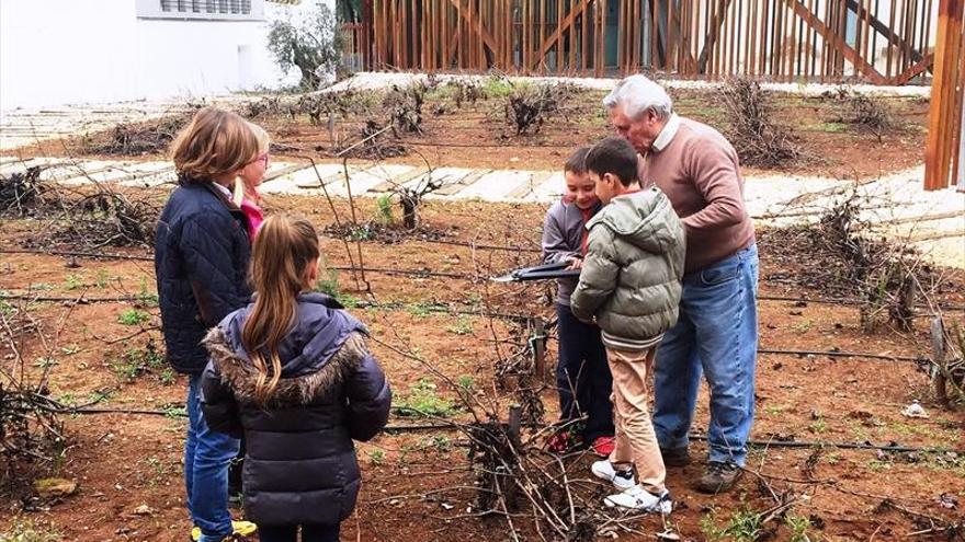 El octavo taller de poda reunirá en el Museo del Vino a más de 500 escolares