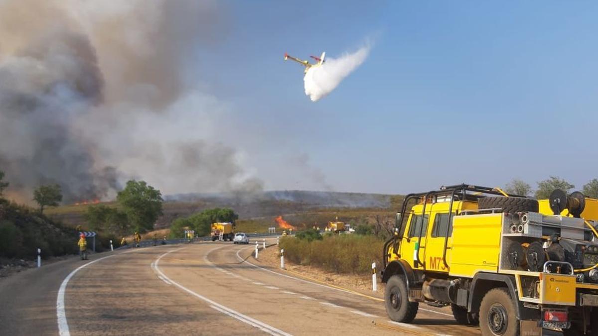 Trabajos para contener el incendio que afecta a Monfragüe, ayer.