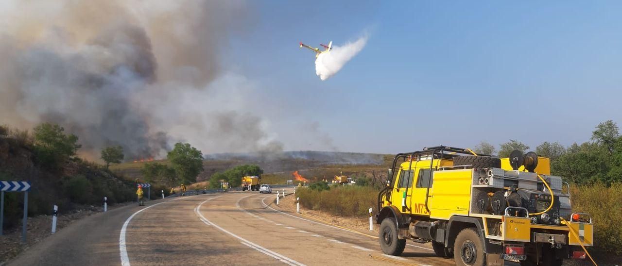 Trabajos para contener el incendio que afecta a Monfragüe, ayer.