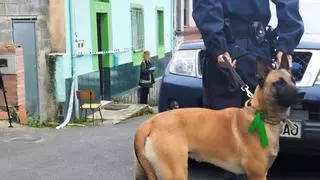 El descuartizador de La Felguera: policía, perros y drones buscan más restos de la víctima del crimen