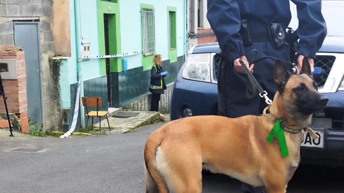 Un agente con un perro, a la entrada de la casa en la que convivían víctima y presunto asesino, y donde pudo producirse el crimen.