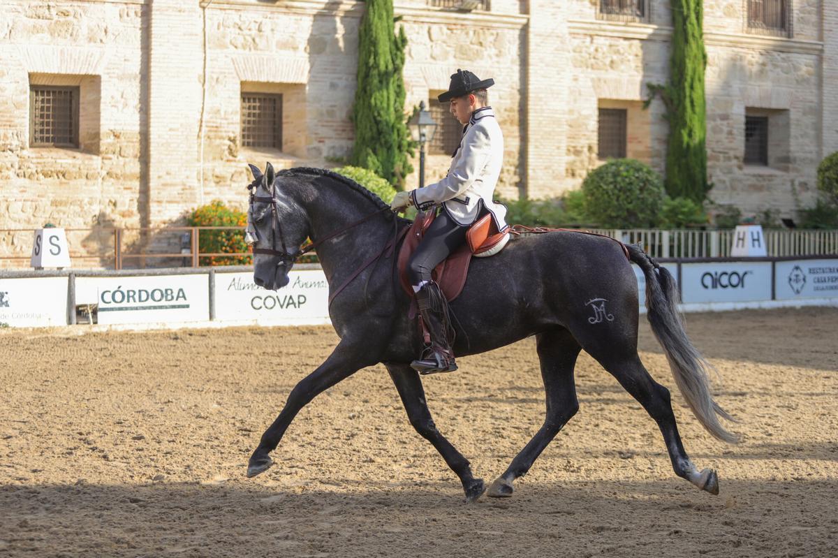 Caballerizas Reales acoge la Copa de España de Alta Escuela