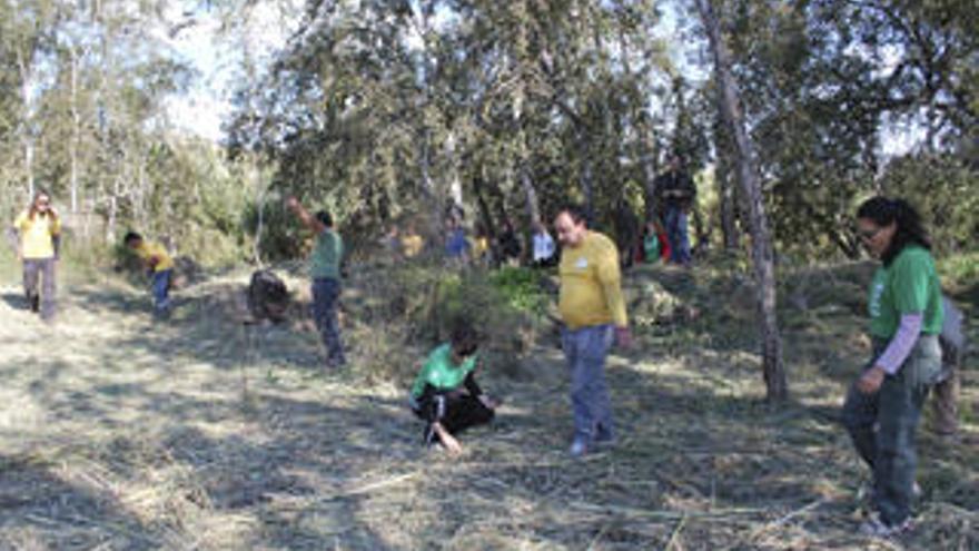 Acaban las jornadas de limpieza del río