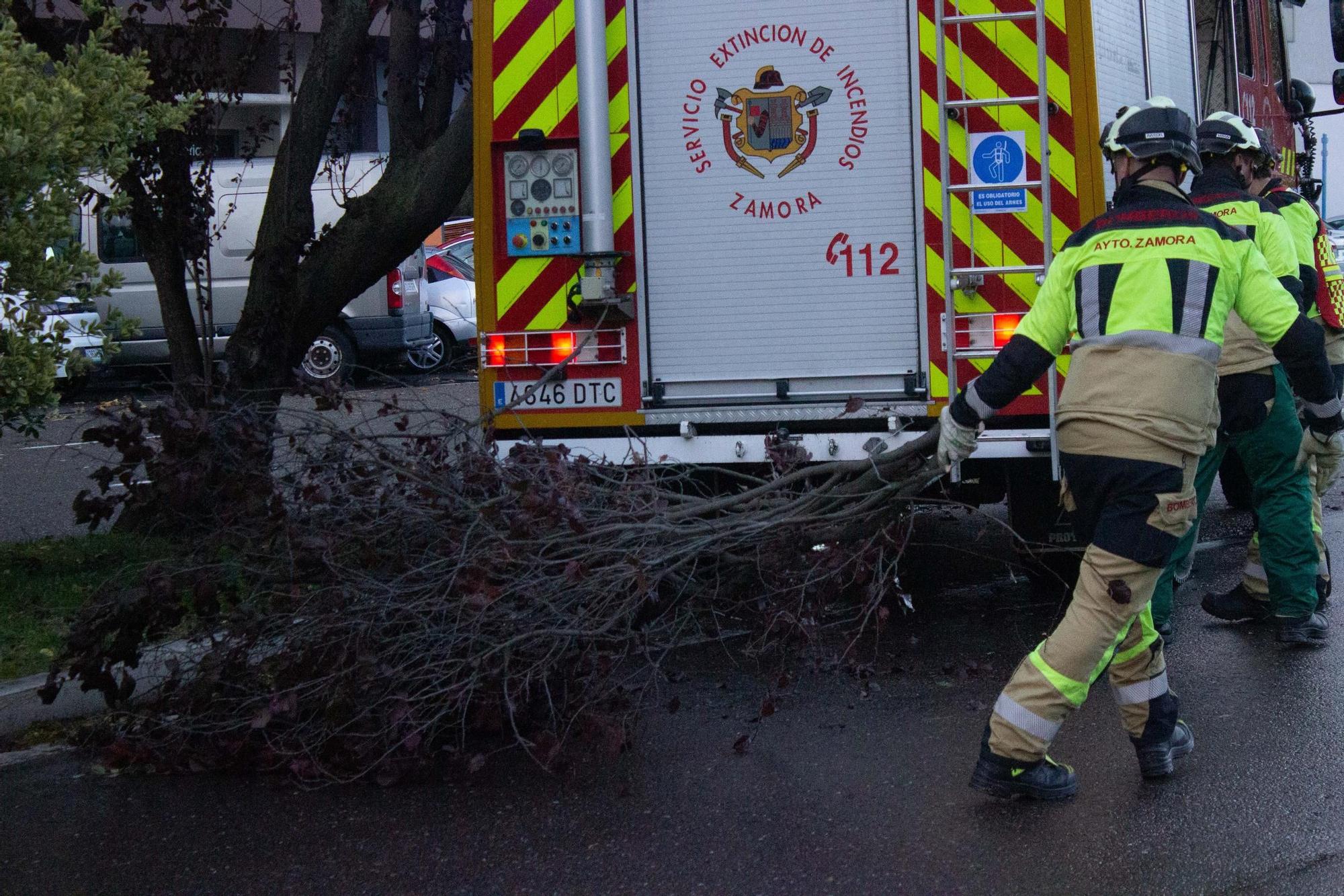 Las imágenes del temporal de lluvia por la borrasca 'Domingos' en Zamora