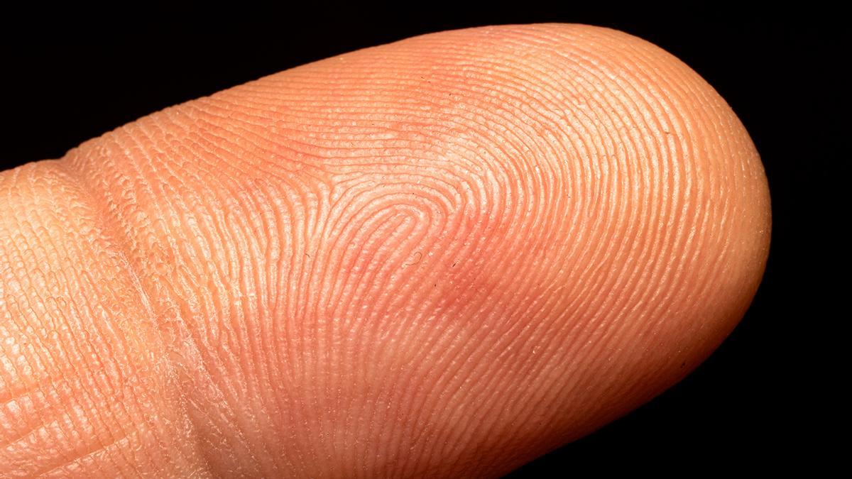 El estudio que puede meterte en problemas:  una persona puede tener las mismas huellas dactilares