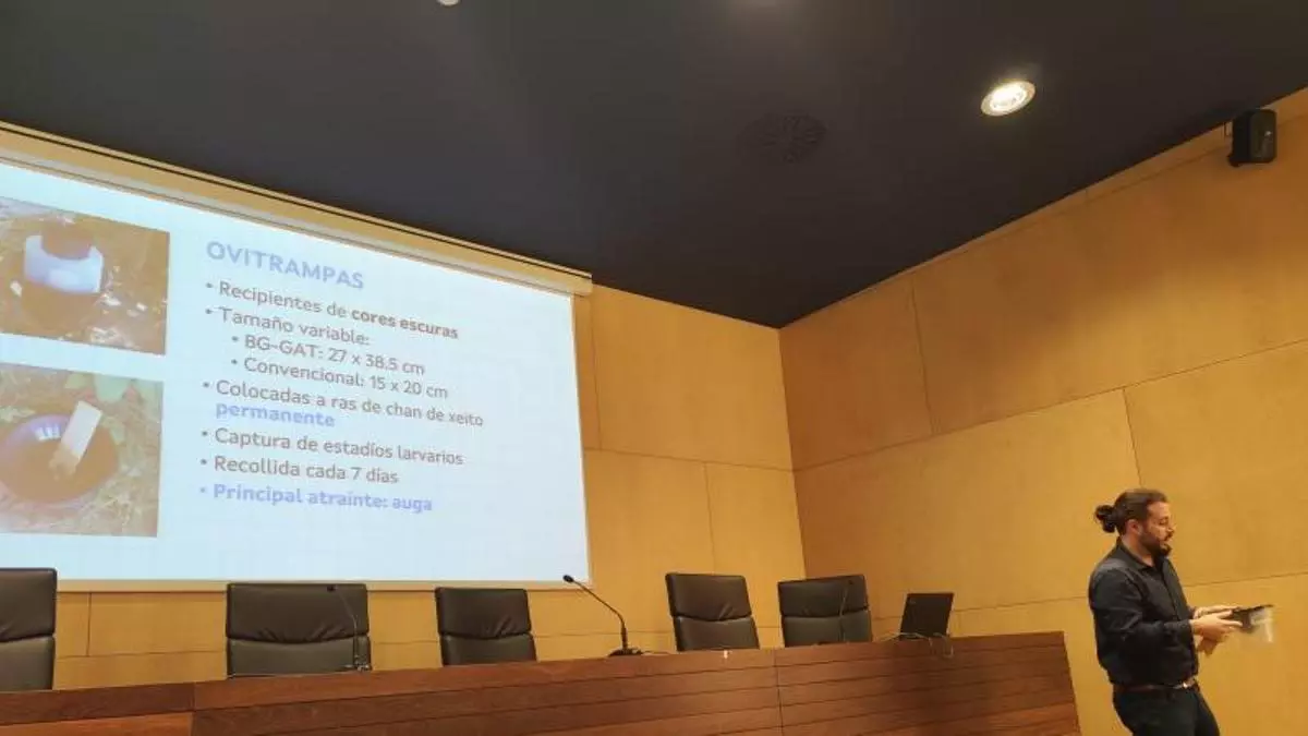 Los primeros muestreos de mosquito tigre dan negativo en O Salnés