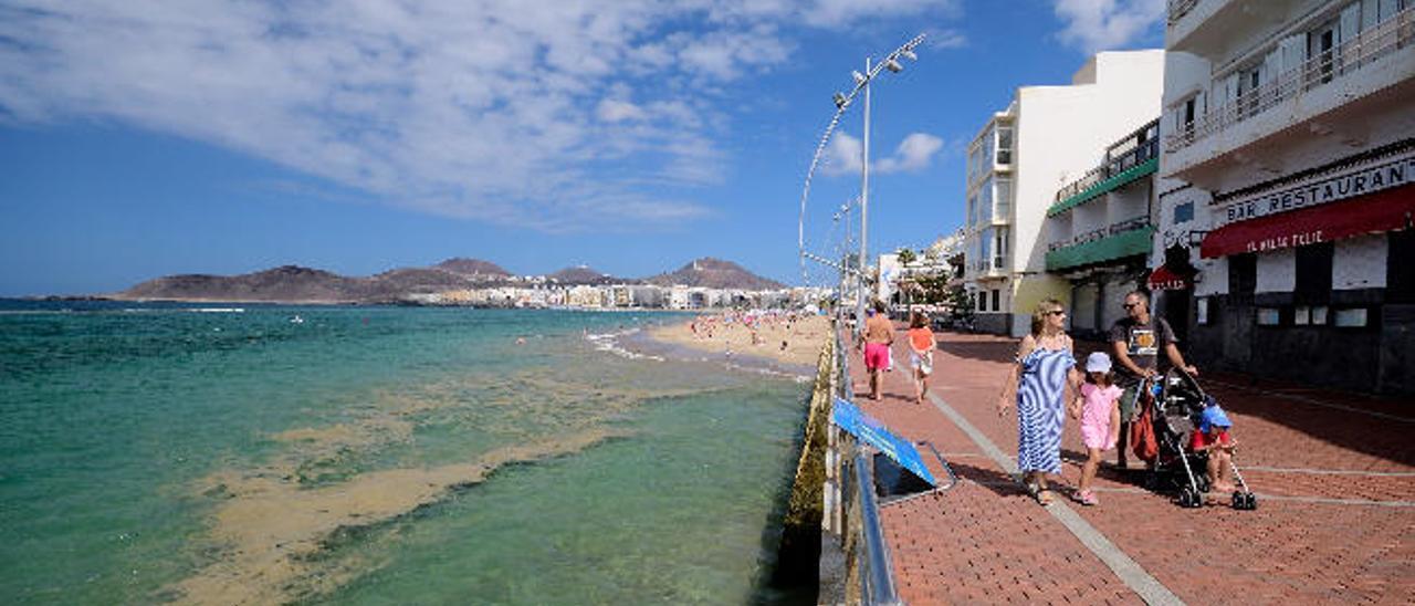 Canarias colocará barreras en las playas para impedir el paso de las microalgas