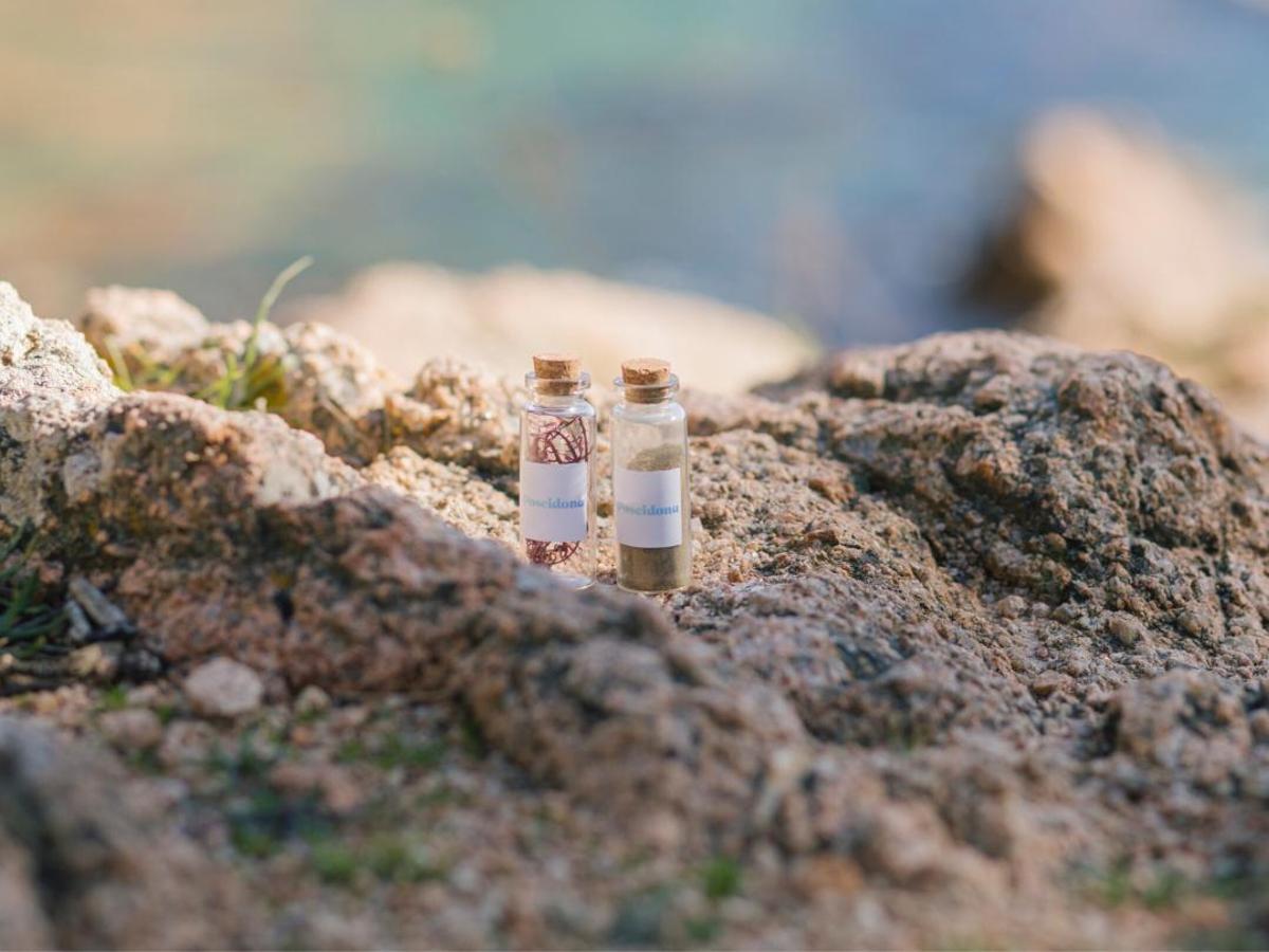 Poseidona se centra en la valorización de biomasa de algas para crear soluciones proteicas innovadoras y sostenibles